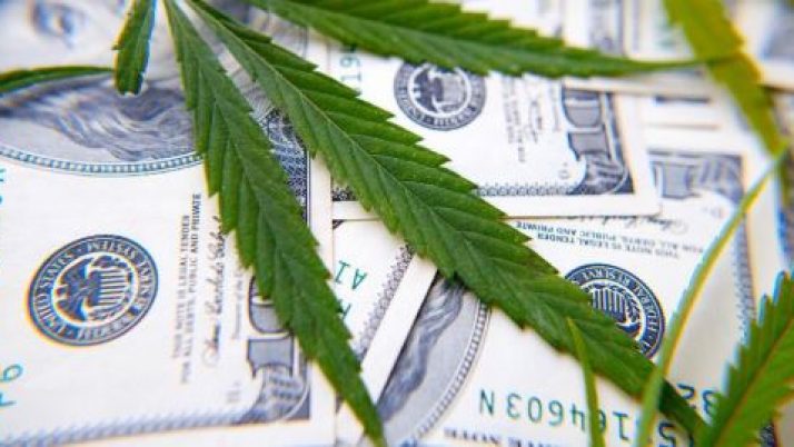 Braden Perry Discusses New Developments for Hemp Business Banking